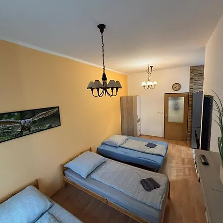 Apartment Topolova 909b